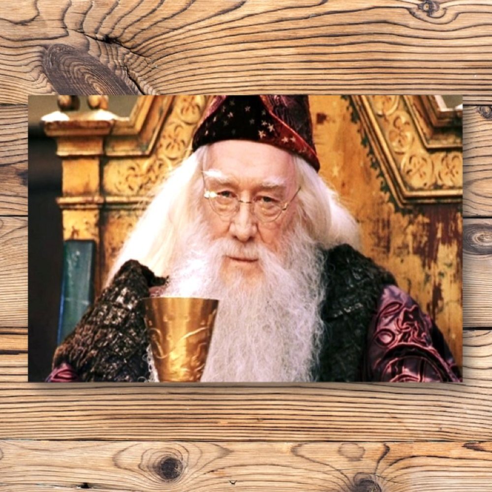 Harry Potter Professor Albus Dumbledore Refrigerator Locker Fridge‎ Magnet
